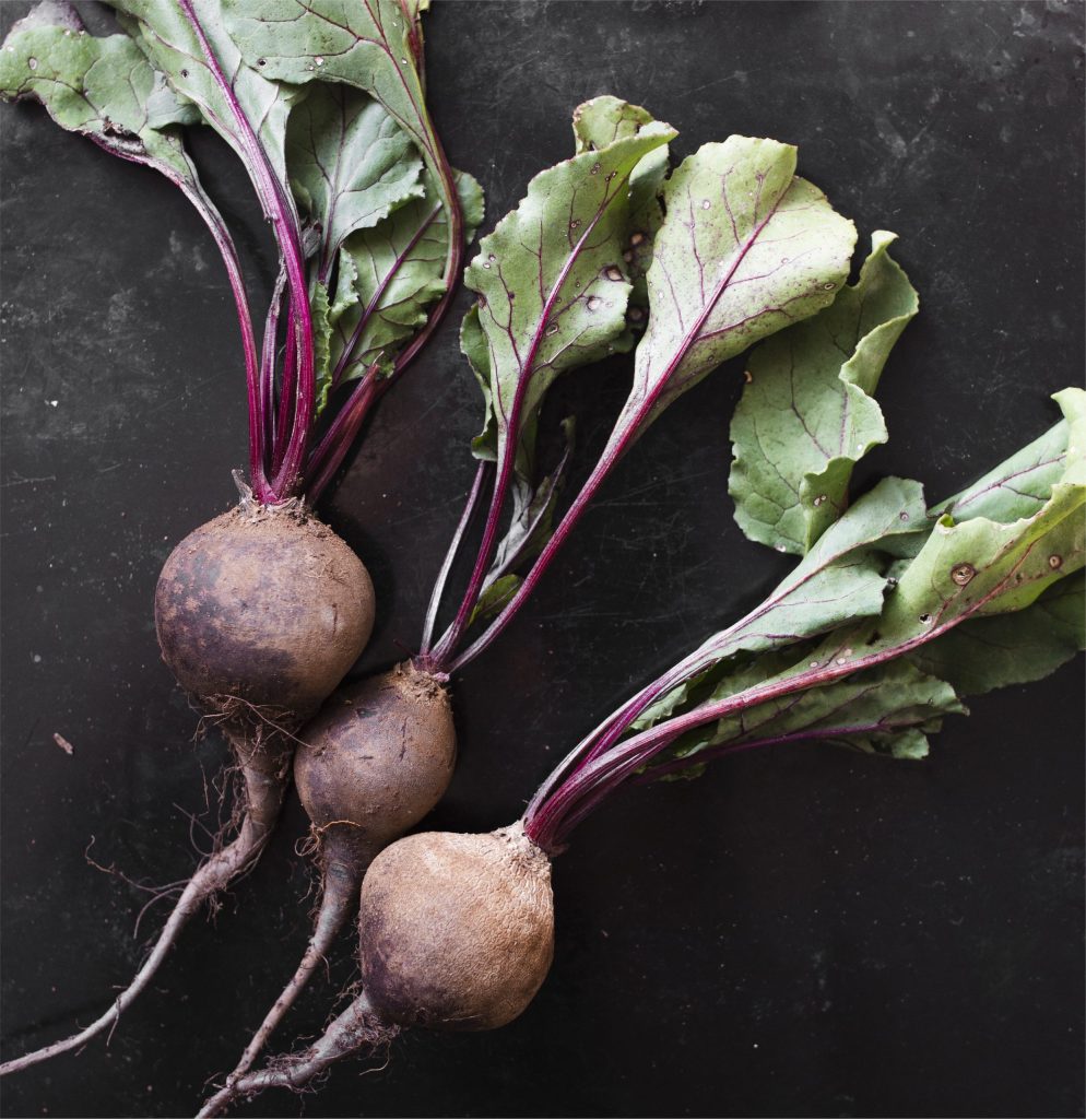 betterave pla cl atelier