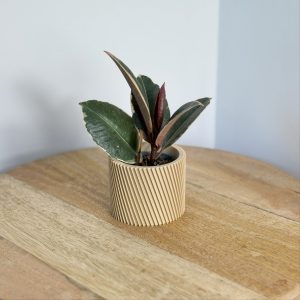 lisbonne cache pot sable